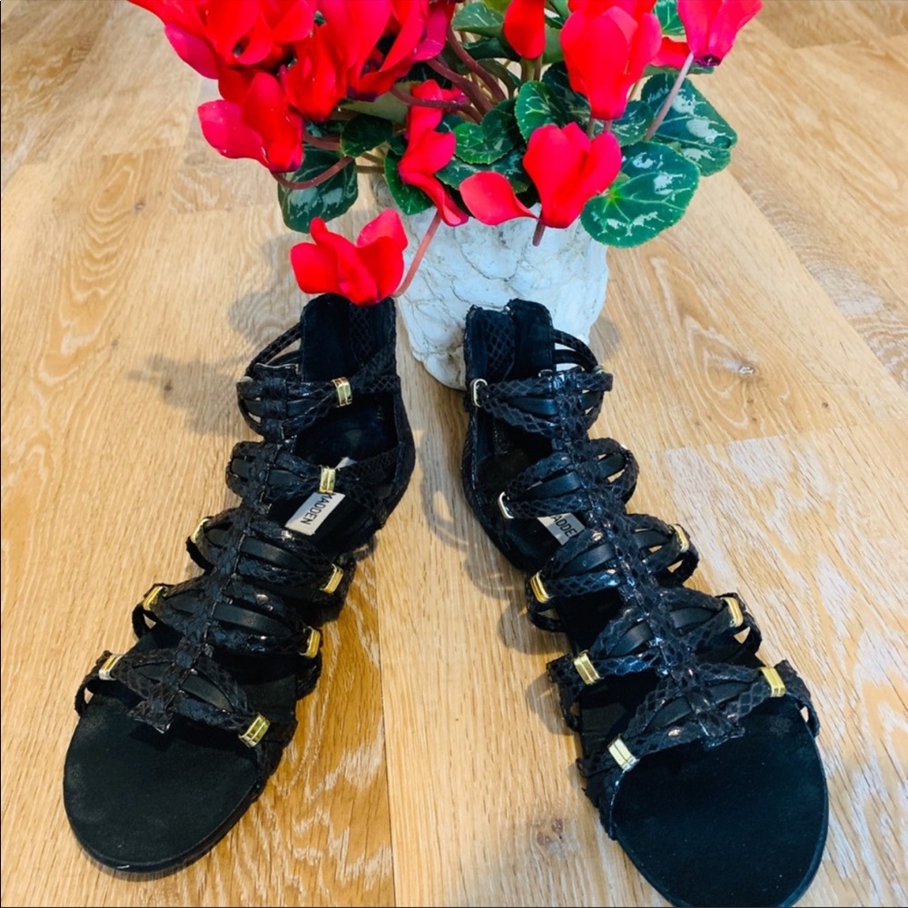 Steve Madden gladiator sandals!